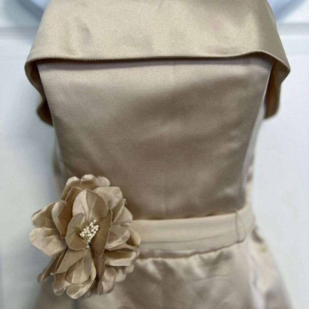 White House Black Market Size 6 Champagne Strapless Evening/Cocktail Dress